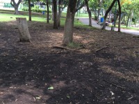 /album/www-palapas-jardines-com/image-5-jpg/